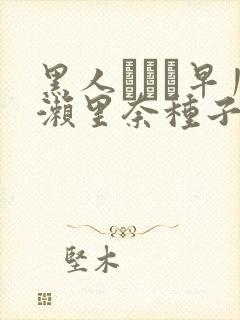 黑人レイプ早川濑里奈种子