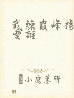 武炼巅峰杨开最爱谁