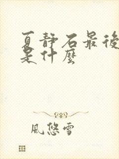 夏静石最后结局是什么封面