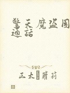 惊天魔盗团2普通话