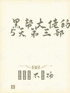 黑帮大佬的365天第三部封面