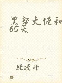 黑帮大佬和我365天