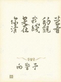 你是我的荣耀高清在线观看完整版封面