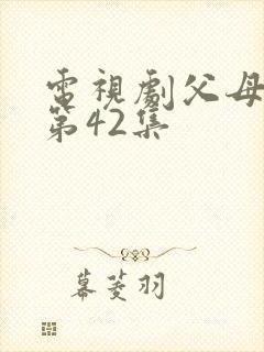 电视剧父母爱情第42集