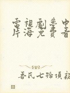 电视剧梦中的那片海免费看