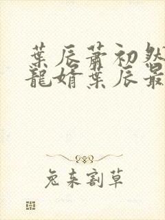 叶辰萧初然上门龙婿叶辰最新章节