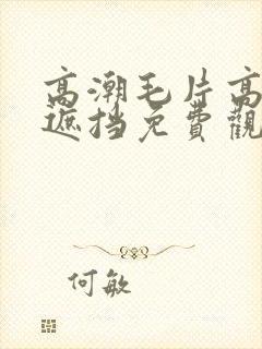 高潮毛片高清无遮挡免费观看封面