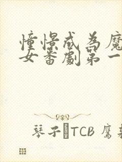 憧憬成为魔法少女番剧第一季