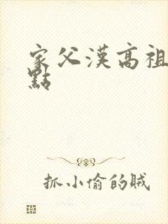 家父汉高祖 起点