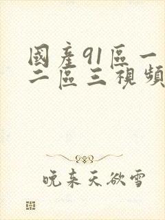 国产91区一区二区三视频在线观看