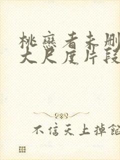 桃恋者未删减版大尺度片段