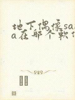 地下偶像sana在哪个软件可以看封面