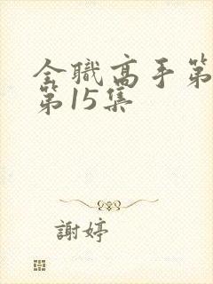 全职高手第三季第15集封面