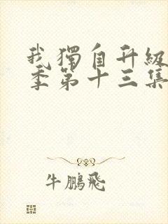 我独自升级第二季第十三集封面