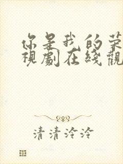 你是我的荣耀电视剧在线观看免费