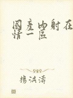 国产内射在线激情一区