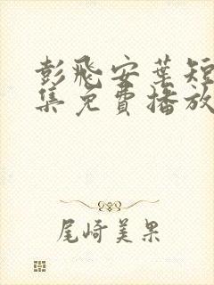 彭飞安叶短剧全集免费播放封面