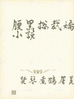 腹黑总裁娇宠妻小说封面