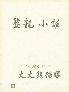 盘龙 小说