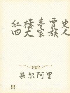 红楼梦贾史王薛四大家族人物关系图封面