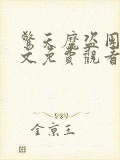 惊天魔盗团1英文免费观看高清完整版