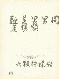 欧美男男同性做爰视频