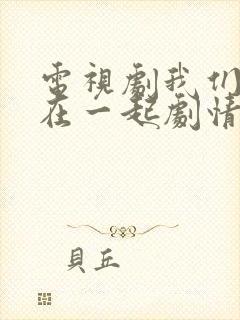 电视剧我们好好在一起剧情介绍