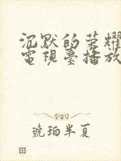 沉默的荣耀哪个电视台播放