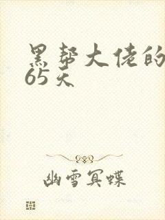 黑帮大佬的第365天