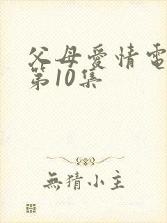 父母爱情电视剧第10集