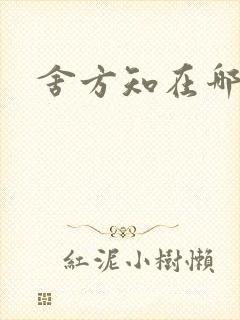 舍方知在哪里看