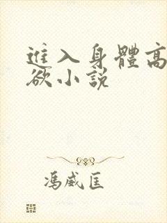 进入身体高潮情欲小说
