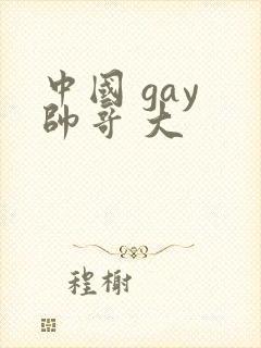 中国 gay 帅哥 大