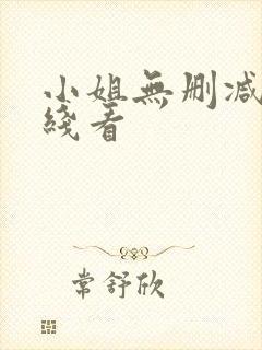小姐无删减版在线看