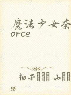 魔法少女奈叶force