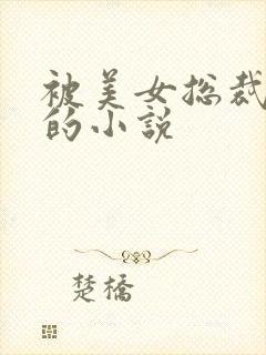 被美女总裁倒追的小说