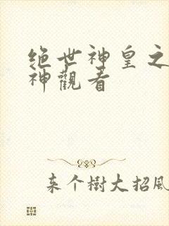 绝世神皇之第一神观看
