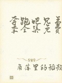 奔跑吧兄弟第九季全集免费完整版