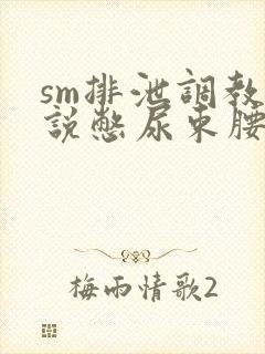 sm排泄调教小说憋尿束腰