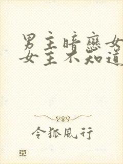 男主暗恋女主,女主不知道的小说封面