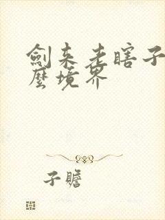 剑来老瞎子是什么境界封面