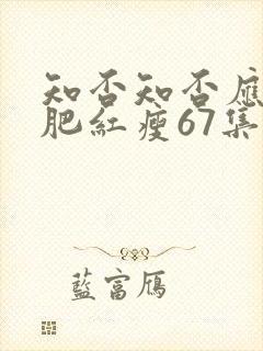 知否知否应是绿肥红瘦67集