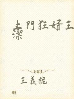 上门狂婿王浩李洁