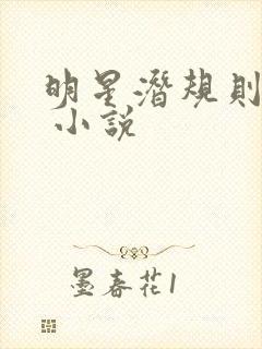 明星潜规则之皇 小说