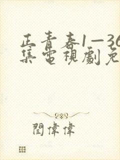 正青春1—36集电视剧免费观看36集
