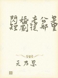 闪婚老公是总裁短剧从哪里看全片