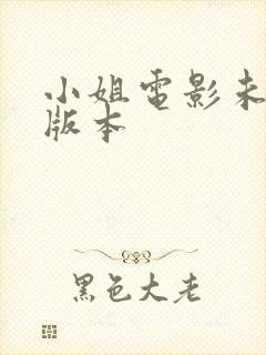 小姐电影未删减版本封面