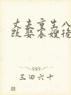 丈夫重生八零,改娶寡嫂后他悔不当初封面