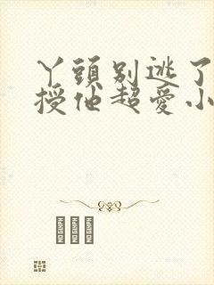 丫头别逃了 教授他超爱小说