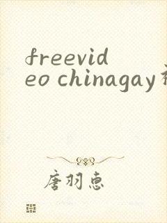freevideo chinagay视频